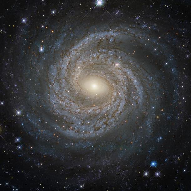ESA/Hubble & NASA; Acknowledgement: Judy Schmidt